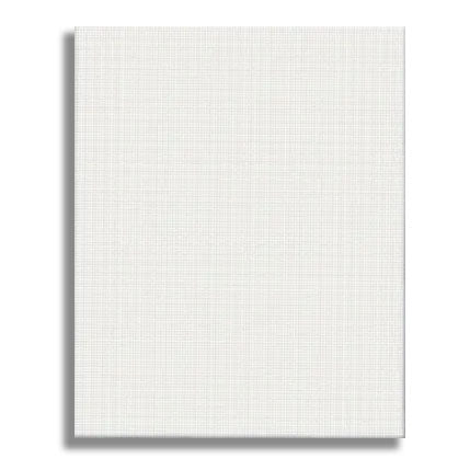 DBLG Canvas Panel 8 x 10