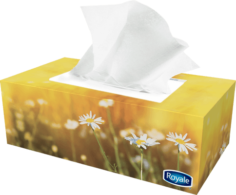 Royale Facial Tissue (2 Ply) - 126 Sheets