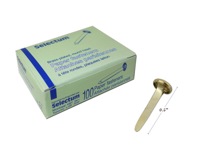 Selectum Brass Plated Round Head Fasteners - 100 Box - ScholarsHub Canada